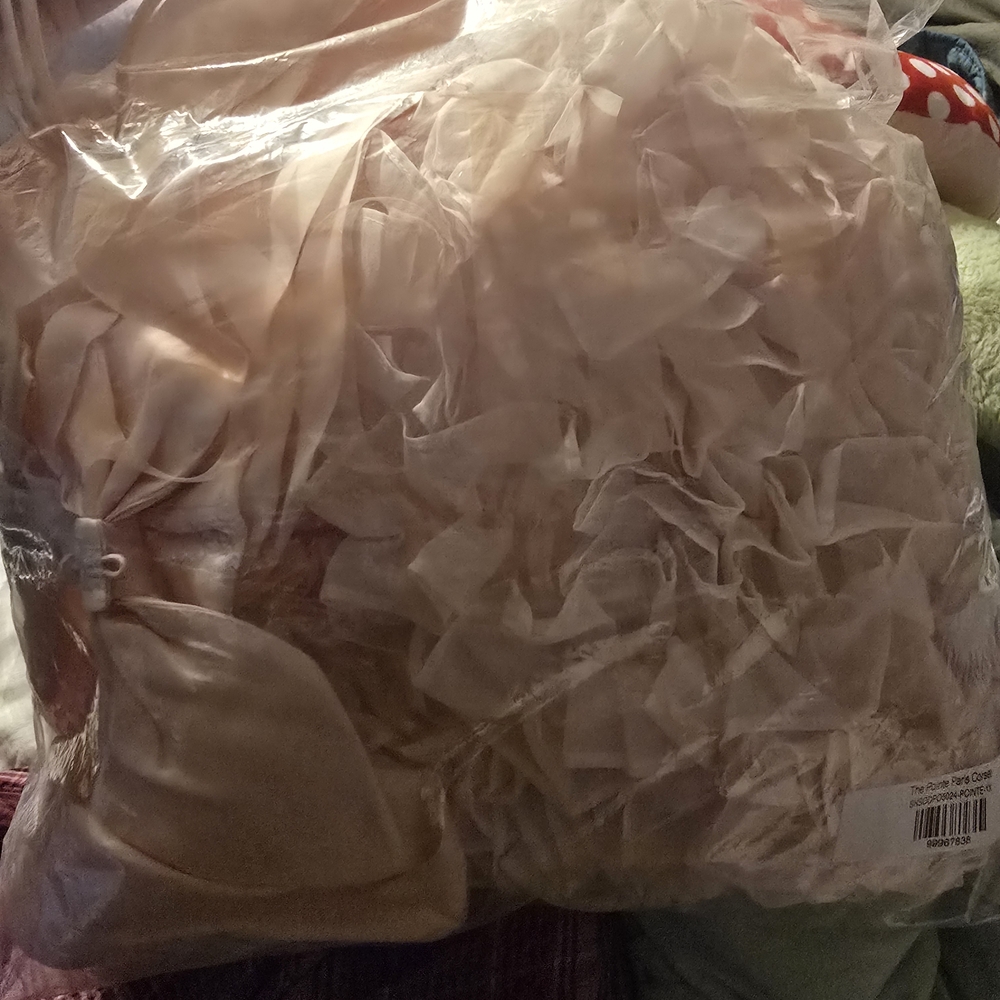 Selkie The Pointe Paris Baby Pink Corset 1X - Picture 3 of 4